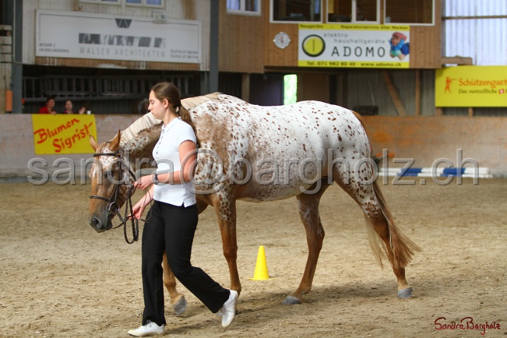 24-ApHC HIH_008.jpg